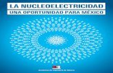 La nucleoelectricidad. Una Oportunidad para México. Reporte final