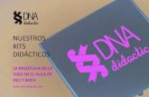Kits didácticos del ADN - DNA Didactic