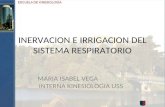 Inervacion e irrigacion del sistema respiratorio