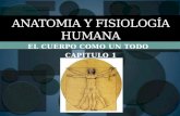 Anatomia y fisiología humana cap 1