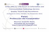 Panel: Protección del Consumidor. Telecomunicaciones el Gran Reto Mauricio Jaramillo Marín,