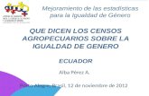 Mejoramiento de las estadísticas para la Igualdad de Género. Ecuador