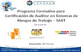 4TO PROGRAMA FORMATIVO PARA CERTIFICACION DE AUDITOR EN SISTEMAS DE RIESGOS DE TRABAJO SART -  80 HORAS