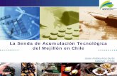 La Senda de Acumulación Tecnológica del mejillón en Chile