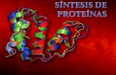 Sintesis de proteínas 2011