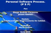 Psp  Personal Software Process