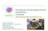 Granja Tarapaca: Un proyecto de Agricultura Social