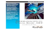 Programacion en visual basic.net rivera & g