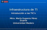 Infraestructura De Ti  2a.Parte