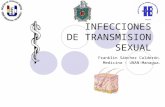 Infecciones de transmision sexual en dermatologia