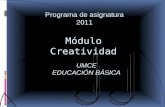 Programa creatividad 2011