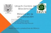 Mexico en la globalizacion