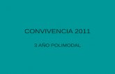 Convivencia 2011 - 3º AÑO POLIMODAL