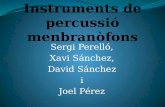 Instruments de Percusió