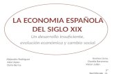 La economia española del siglo xix (1)
