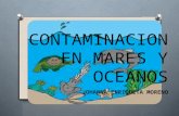 Contaminacion en mares y oceanos