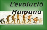 L'Evolució humana