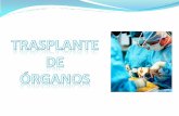 Trasplante de organos: soluciones de conservacion