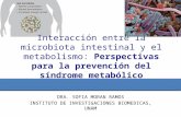Interacción entre la microbiota intestinal y el metabolismo: Perspectivas para la prevención del síndrome metabólico
