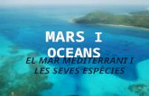 Mars i oceans ppt