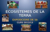 Exposicions dels Ecosistemes de la Terra  5è. Curs 2012/13