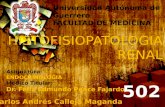 Histopatología de la Nefropatía diabetica