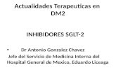 Actualidades sobre el tratamiento de la DM con inhibidores de SGLT2