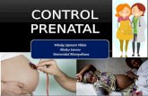 Control prenatal Colombia