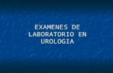 Examenes De Laboratorio En Urologia