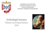 Embriologia humana ujap