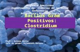 Bacilos gram positivos Clostridios