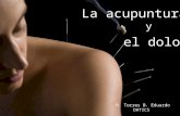 La acupuntura y el dolor
