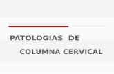 Columna cervical [1]