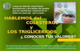 El Colesterol Y Los TriglicéRidos