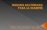Insulina Bacteriana para la Diabetes