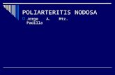 Poliarteritis nodosa