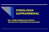 Fisiopatologia   suprarrenal usjb 2010