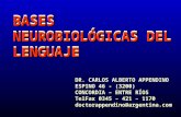 Bases Neurologicas del lenguaje