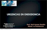 Urgencias en Endodoncia.
