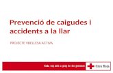 2011 09-22 prevenció caigudes i accidents a la llar