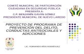 Proyecto de programa de prevencion del comite administración 2011 2013