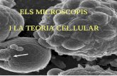 Els Microscopis I La Teroria Cel