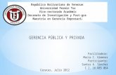 Gerencia pública y privada4(practica1)