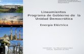 Lineamientos de programa preliminar MUD energía eléctrica (27-09-11)