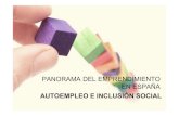 El emprendimiento juvenil en España 2013.pptx