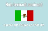 México 2010