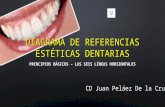 Diseño Digital de Sonrisa - Uso del Diagrama de Referencias Estéticas Dentarias