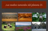 Los medios naturales del planeta (II)