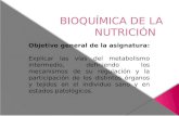 BioquíMica De La NutricióN
