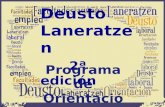 Deusto Laneratzen 2012-13